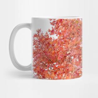 Autumn fall red trees leaves thanksgiving Mug